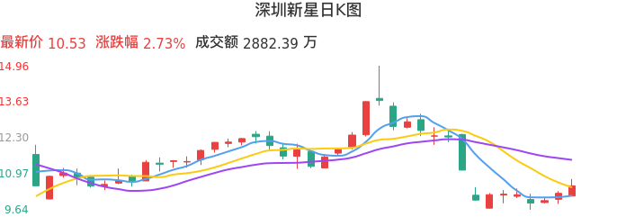 整体分析-日K图：深圳新星股票整体分析报告