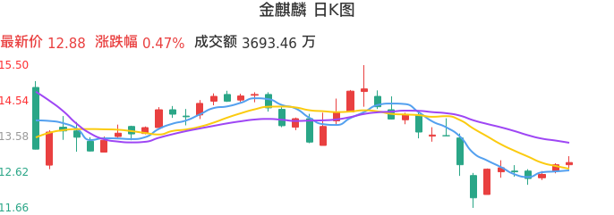 整体分析-日K图：金麒麟股票整体分析报告