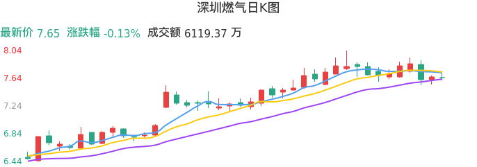 整体分析-日K图：深圳燃气股票整体分析报告