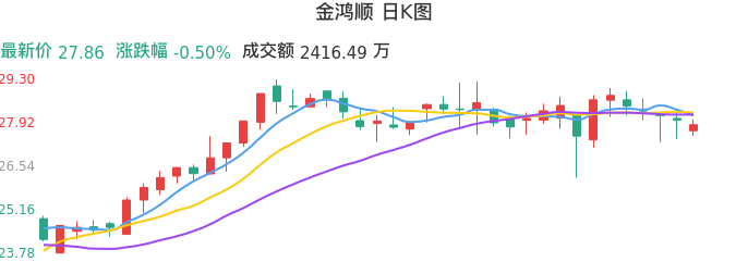 整体分析-日K图：金鸿顺股票整体分析报告