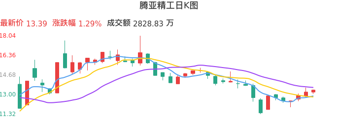 整体分析-日K图：腾亚精工股票整体分析报告