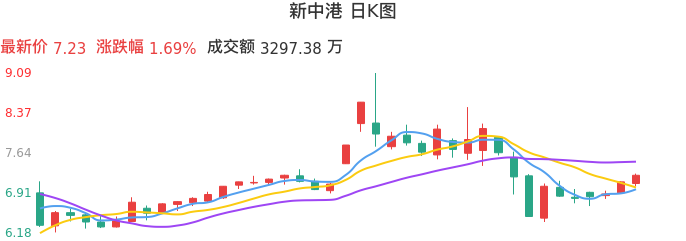 整体分析-日K图：新中港股票整体分析报告