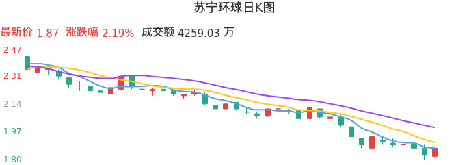 整体分析-日K图：苏宁环球股票整体分析报告