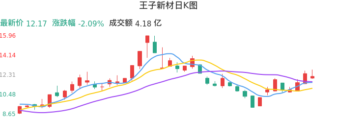 整体分析-日K图：王子新材股票整体分析报告
