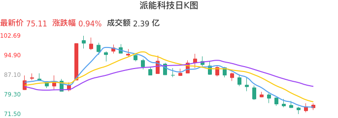 整体分析-日K图：派能科技股票整体分析报告