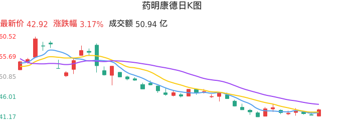 整体分析-日K图：药明康德股票整体分析报告