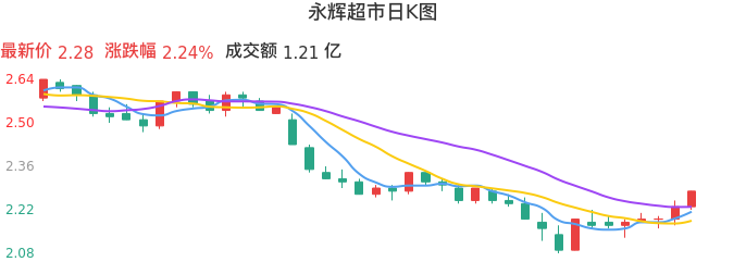 整体分析-日K图：永辉超市股票整体分析报告