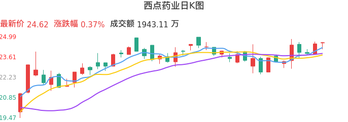 整体分析-日K图：西点药业股票整体分析报告