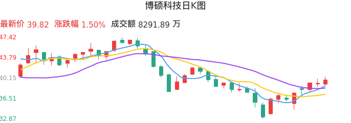 整体分析-日K图：博硕科技股票整体分析报告