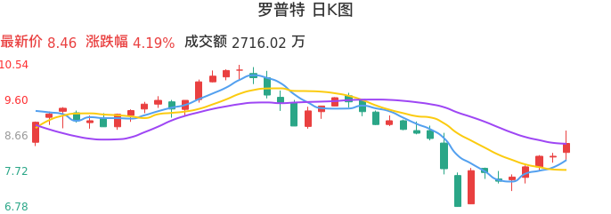 整体分析-日K图：罗普特股票整体分析报告