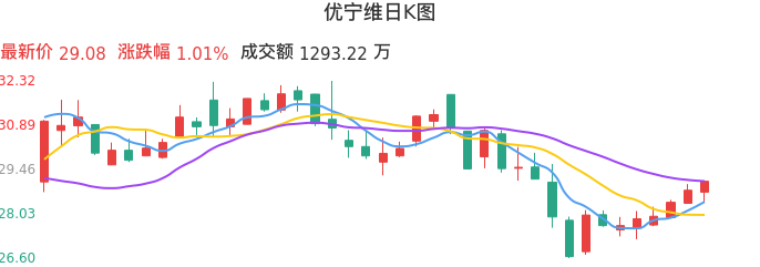 整体分析-日K图：优宁维股票整体分析报告