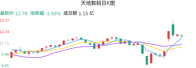 整体分析-日K图：天地数码股票整体分析报告