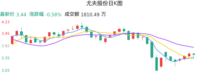 整体分析-日K图：尤夫股份股票整体分析报告