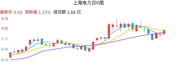 整体分析-日K图：上海电力股票整体分析报告