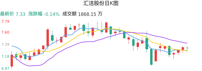 整体分析-日K图：汇洁股份股票整体分析报告