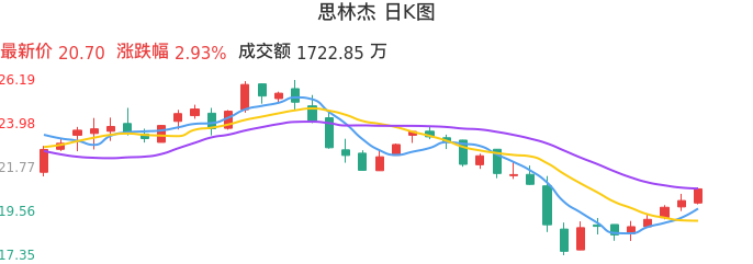 整体分析-日K图：思林杰股票整体分析报告
