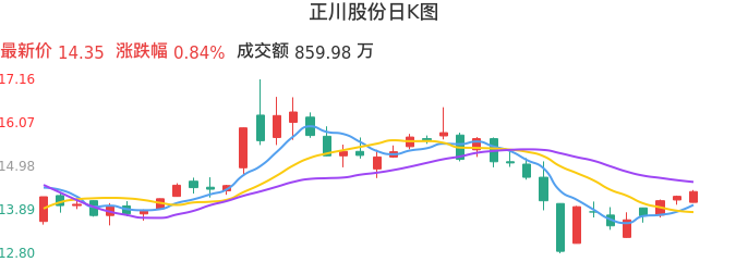 整体分析-日K图：正川股份股票整体分析报告