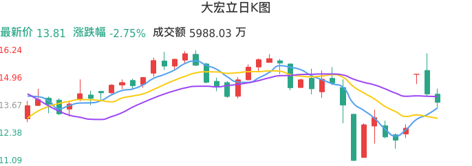 整体分析-日K图：大宏立股票整体分析报告