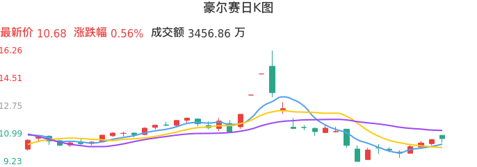 整体分析-日K图：豪尔赛股票整体分析报告