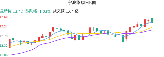 整体分析-日K图：宁波华翔股票整体分析报告