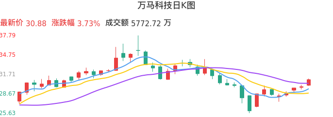 整体分析-日K图：万马科技股票整体分析报告