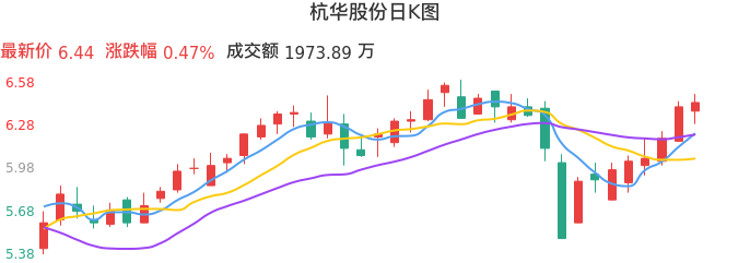 整体分析-日K图：杭华股份股票整体分析报告