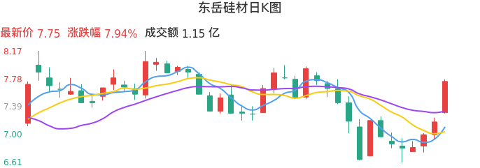 整体分析-日K图：东岳硅材股票整体分析报告