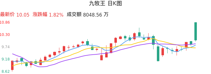 整体分析-日K图：九牧王股票整体分析报告