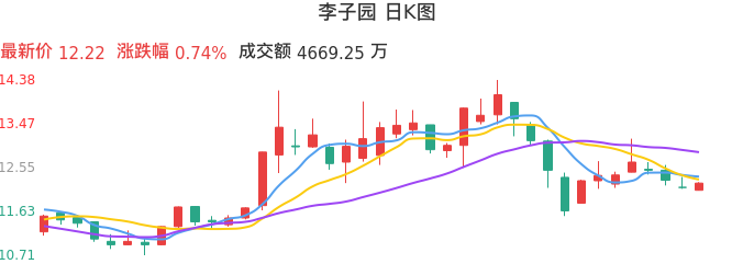 整体分析-日K图：李子园股票整体分析报告