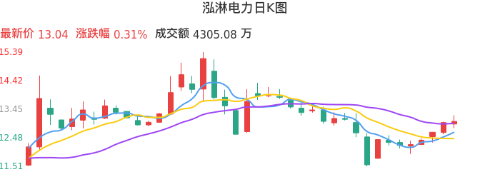 整体分析-日K图：泓淋电力股票整体分析报告
