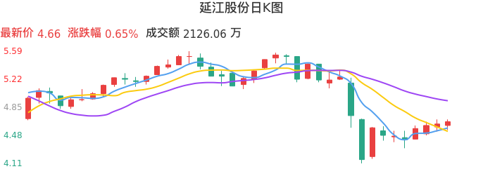 整体分析-日K图：延江股份股票整体分析报告
