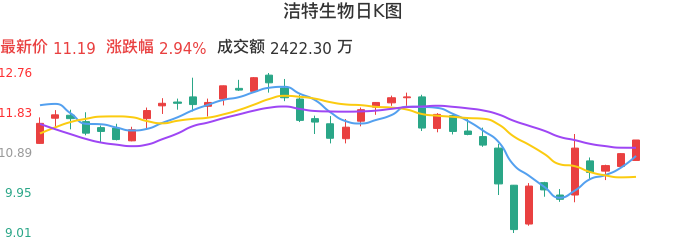 整体分析-日K图：洁特生物股票整体分析报告