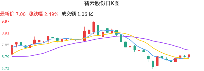 整体分析-日K图：智云股份股票整体分析报告