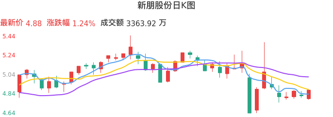 整体分析-日K图：新朋股份股票整体分析报告