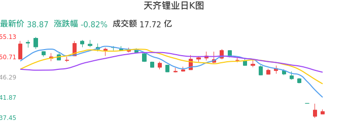 整体分析-日K图:天齐锂业股票整体分析报告