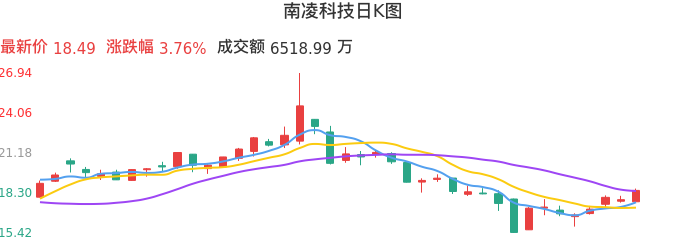 整体分析-日K图：南凌科技股票整体分析报告