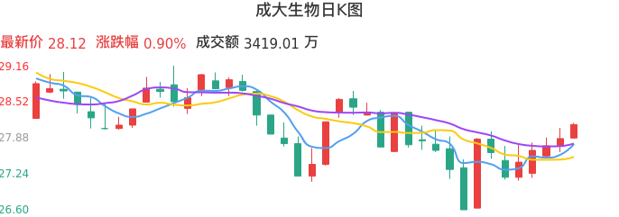 整体分析-日K图：成大生物股票整体分析报告