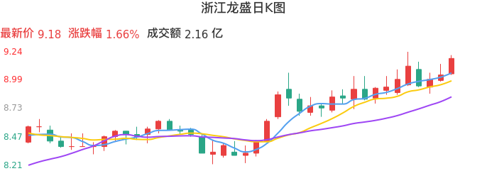 整体分析-日K图：浙江龙盛股票整体分析报告