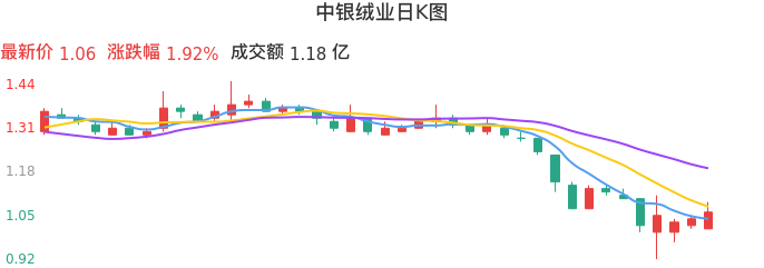 整体分析-日K图：中银绒业股票整体分析报告
