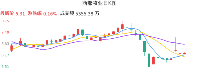 整体分析-日K图：西部牧业股票整体分析报告
