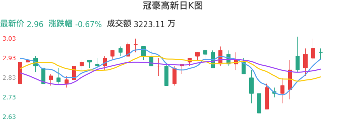 整体分析-日K图：冠豪高新股票整体分析报告