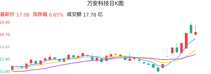整体分析-日K图:万安科技股票整体分析报告