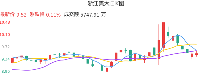 整体分析-日K图：浙江美大股票整体分析报告