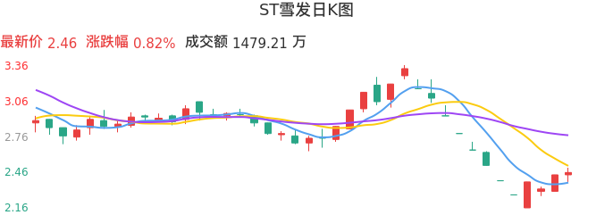 整体分析-日K图：ST雪发股票整体分析报告