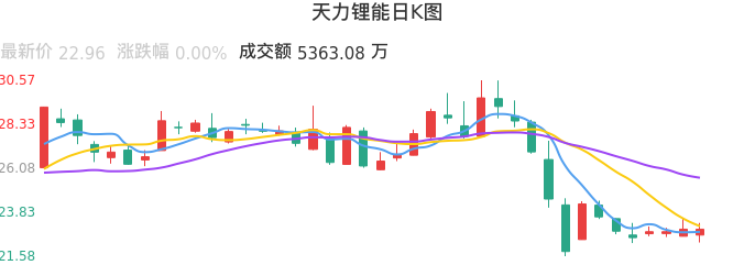 整体分析-日K图：天力锂能股票整体分析报告