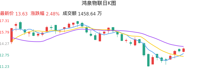 整体分析-日K图：鸿泉物联股票整体分析报告