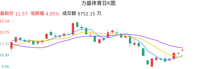 整体分析-日K图：力盛体育股票整体分析报告