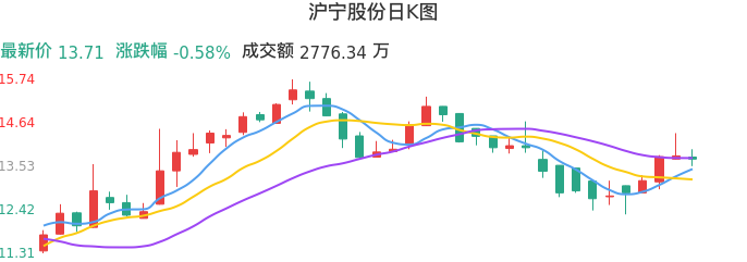 整体分析-日K图：沪宁股份股票整体分析报告