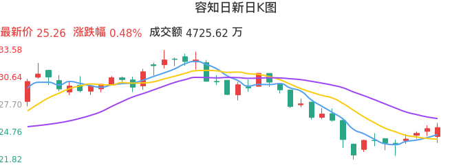 整体分析-日K图：容知日新股票整体分析报告