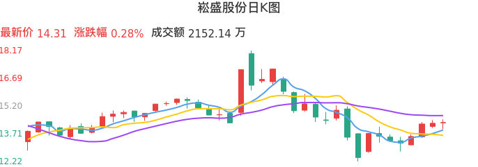 整体分析-日K图：崧盛股份股票整体分析报告